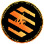 BUSDX Fuel logo