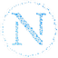 NAM COIN logo