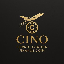 Private Aviation Finance Token logo
