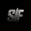 Solana Index Fund logo