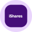 iShares MSCI Brazil Tokenized ETF (Ondo) logo