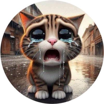 MeowCat logo