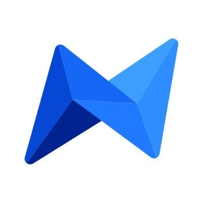 Netswap logo