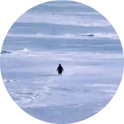 Nietzschean Penguin logo