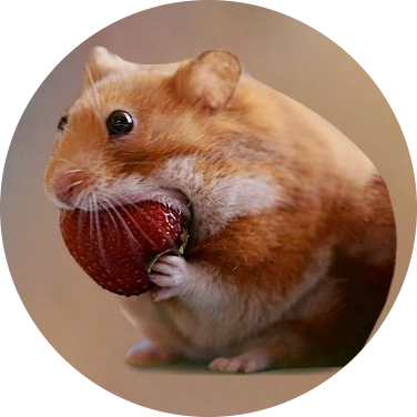 nomnom logo