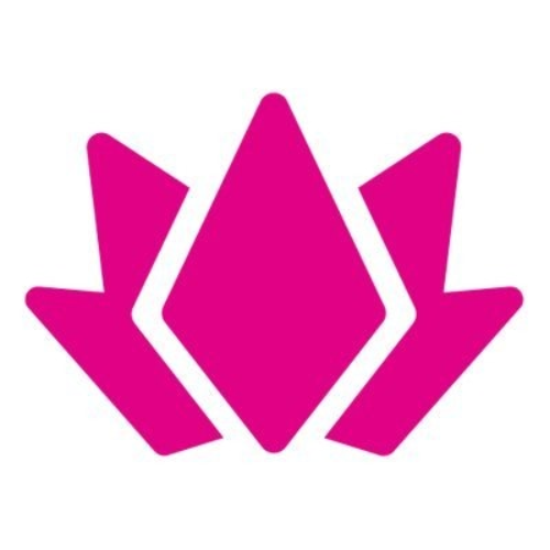 Plian logo