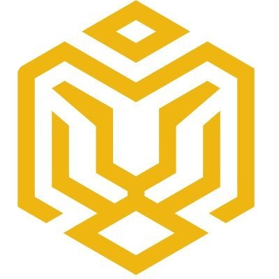 Seek Tiger logo
