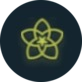 Spring logo