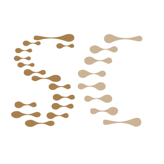 SuperCells logo