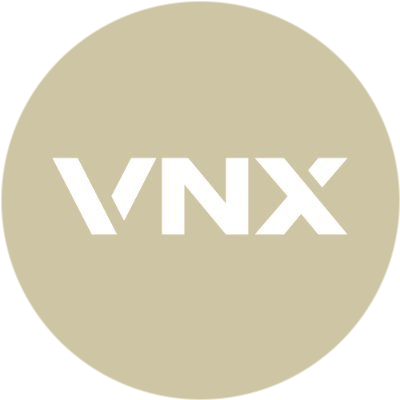 VNX Gold logo